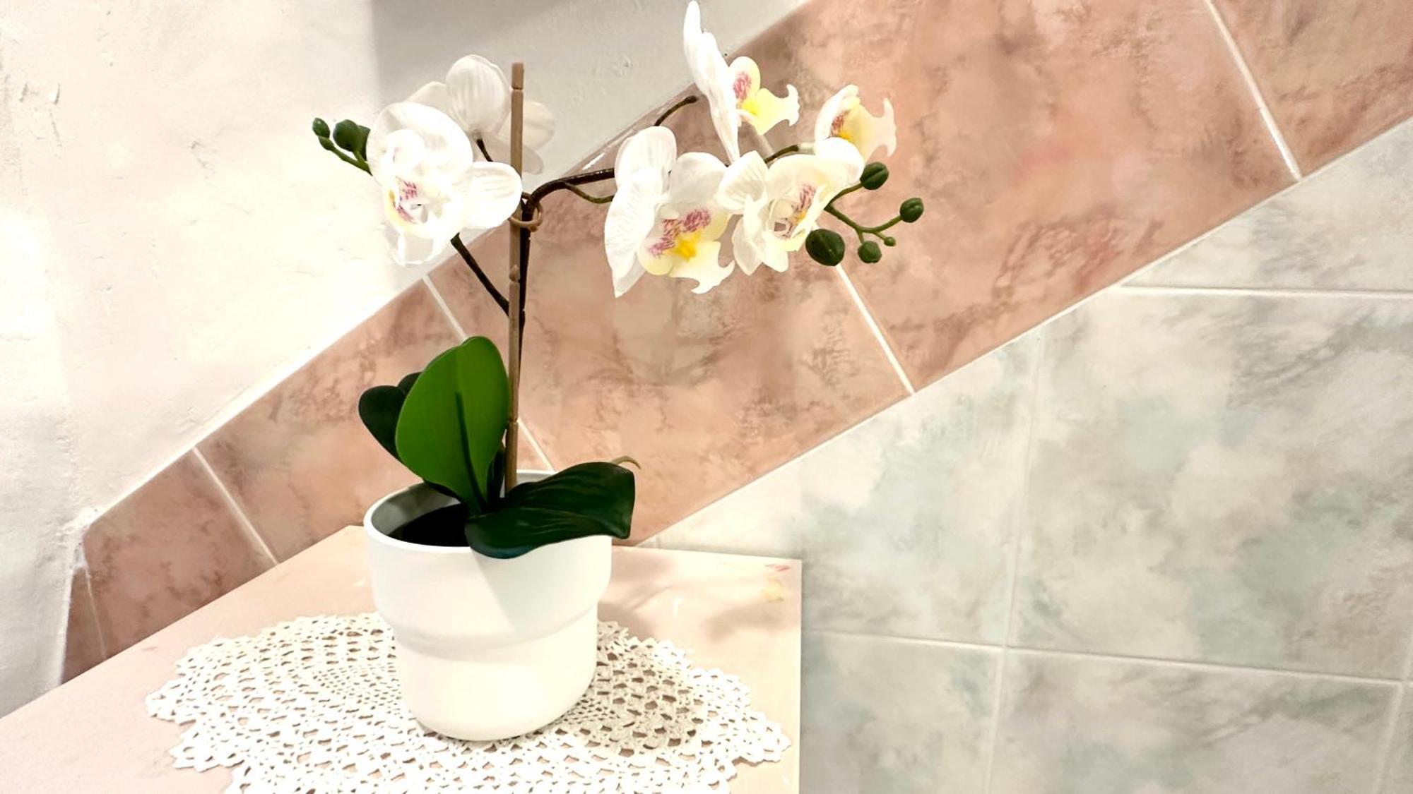 Amarin Pisa Apartment Buitenkant foto